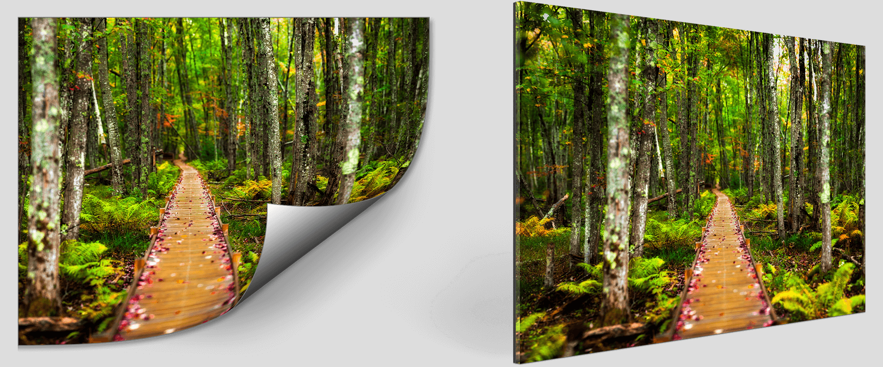 A VAST Print and a VAST Display