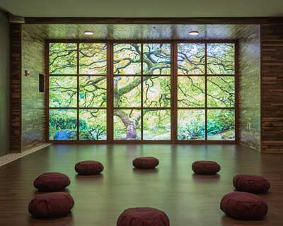 An example of an ultra-high-resolution digital photo file from VAST being used as a backlit wall in a meditation room.