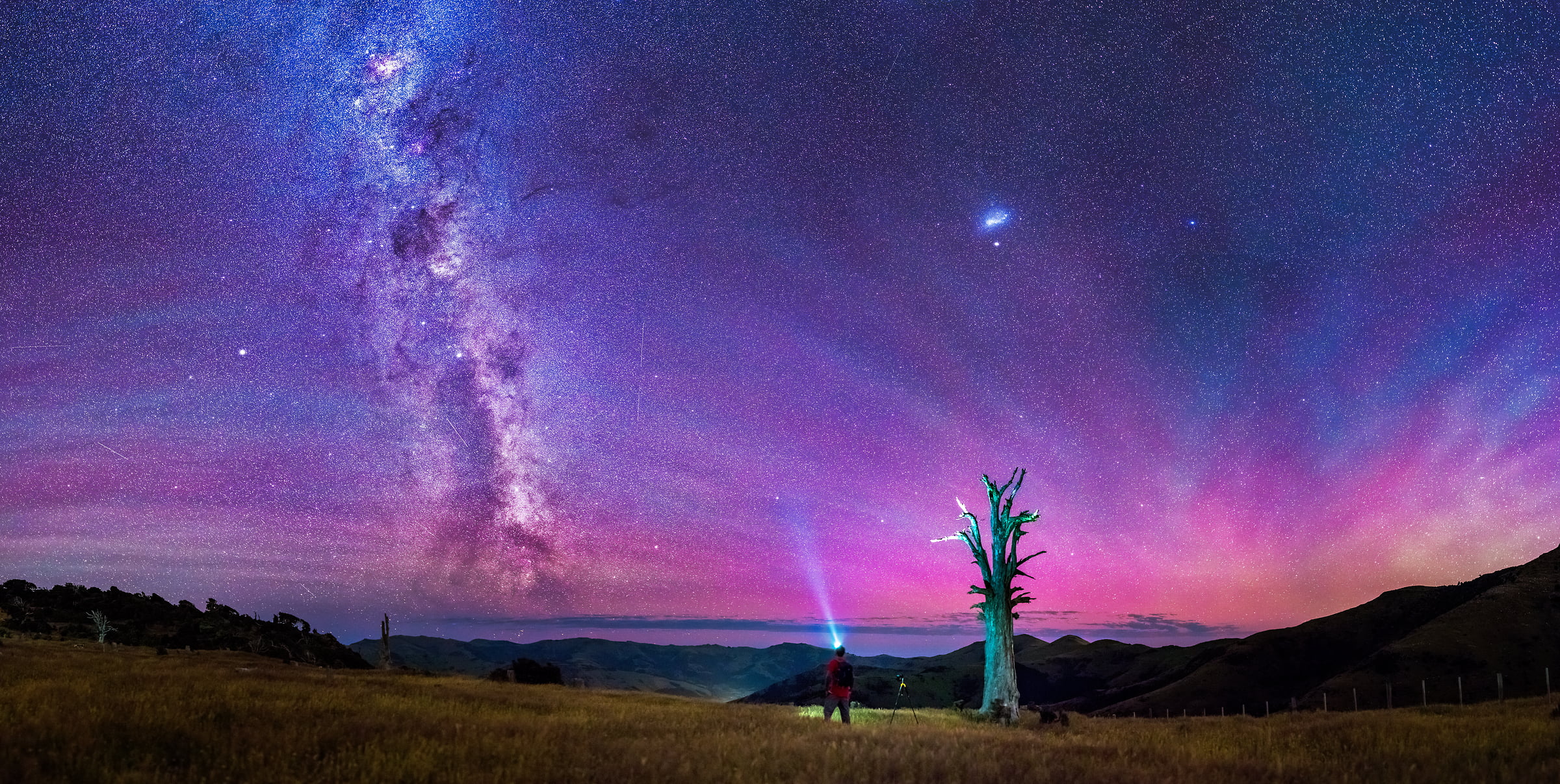 200 megapixels! A very high resolution, large-format VAST photo print of the night sky, milky way, and stars over a dead tree and a person photographing; fine art astrophotography landscape photo created by Paul Wilson in Port Levy Saddle, Canterbury, New Zealand.