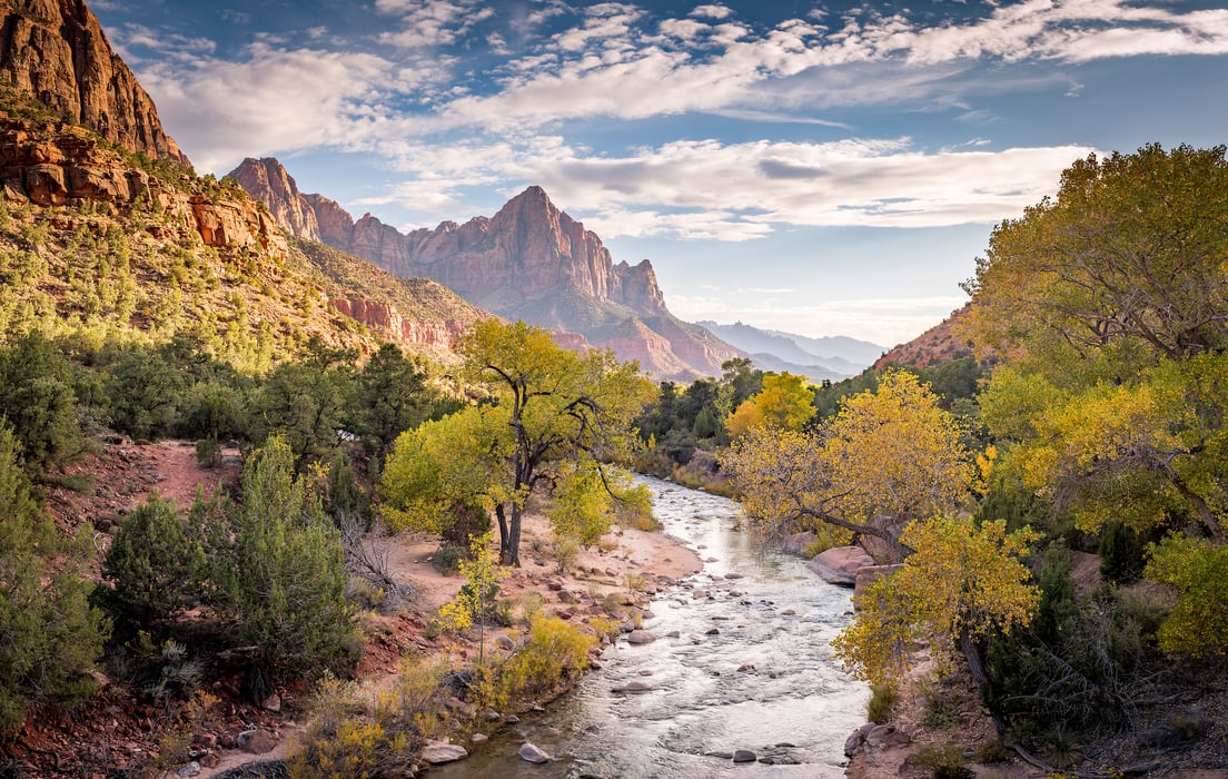 302 megapixels! A very high resolution, large-format VAST photo print of a beautiful American landscape scene with a stream and autumn trees in Zion National Park; landscape photo of a valley in Utah created by Justin Katz.