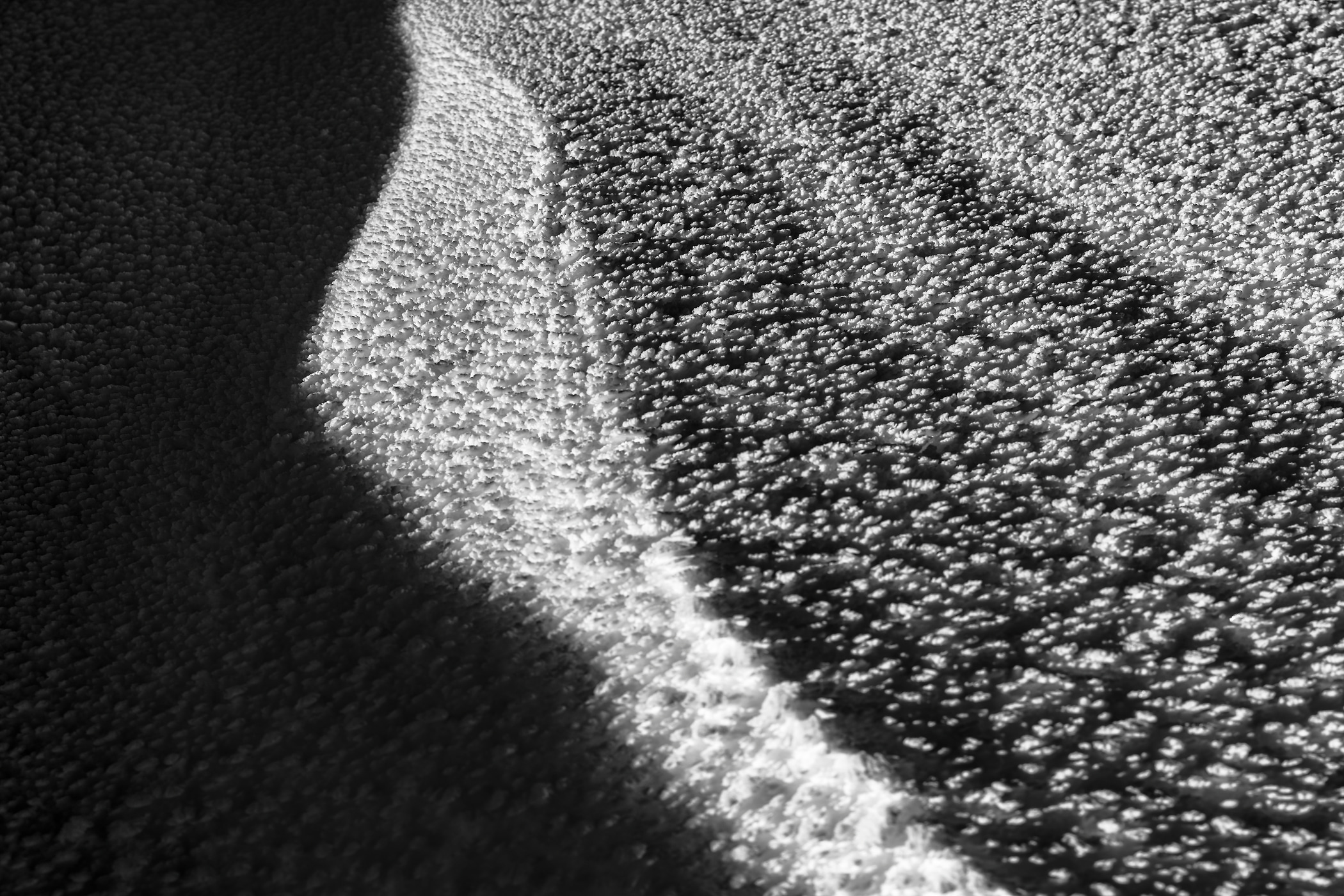 188 megapixels! A very high resolution, large-format VAST photo print of frost and snow on the ground; abstract black & white photograph created by Scott Rinckenberger in Sahale Peak, North Cascades National Park, Washington.