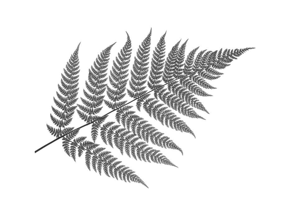 523 megapixels! A very high resolution, large-format VAST photo print of a fern plant; black and white nature photograph created by Scott Rinckenberger in Snoqualmie Falls Park, Snoqualmie, Washington.