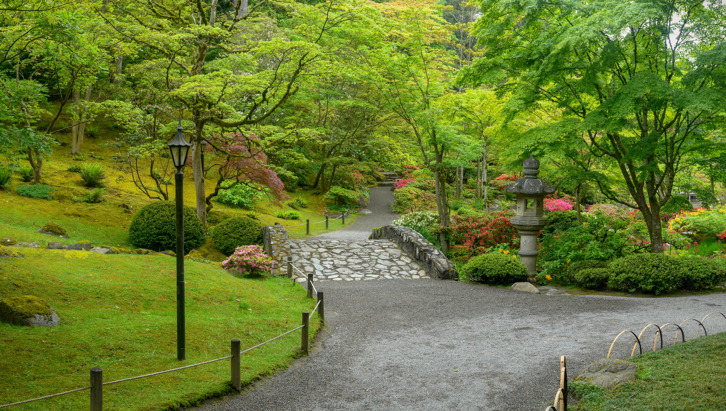 153 megapixels! A very high resolution, large-format VAST photo print of a Japanese garden with green foliage and a walkway; photograph created by Greg Probst in Japanese Garden, Seattle.