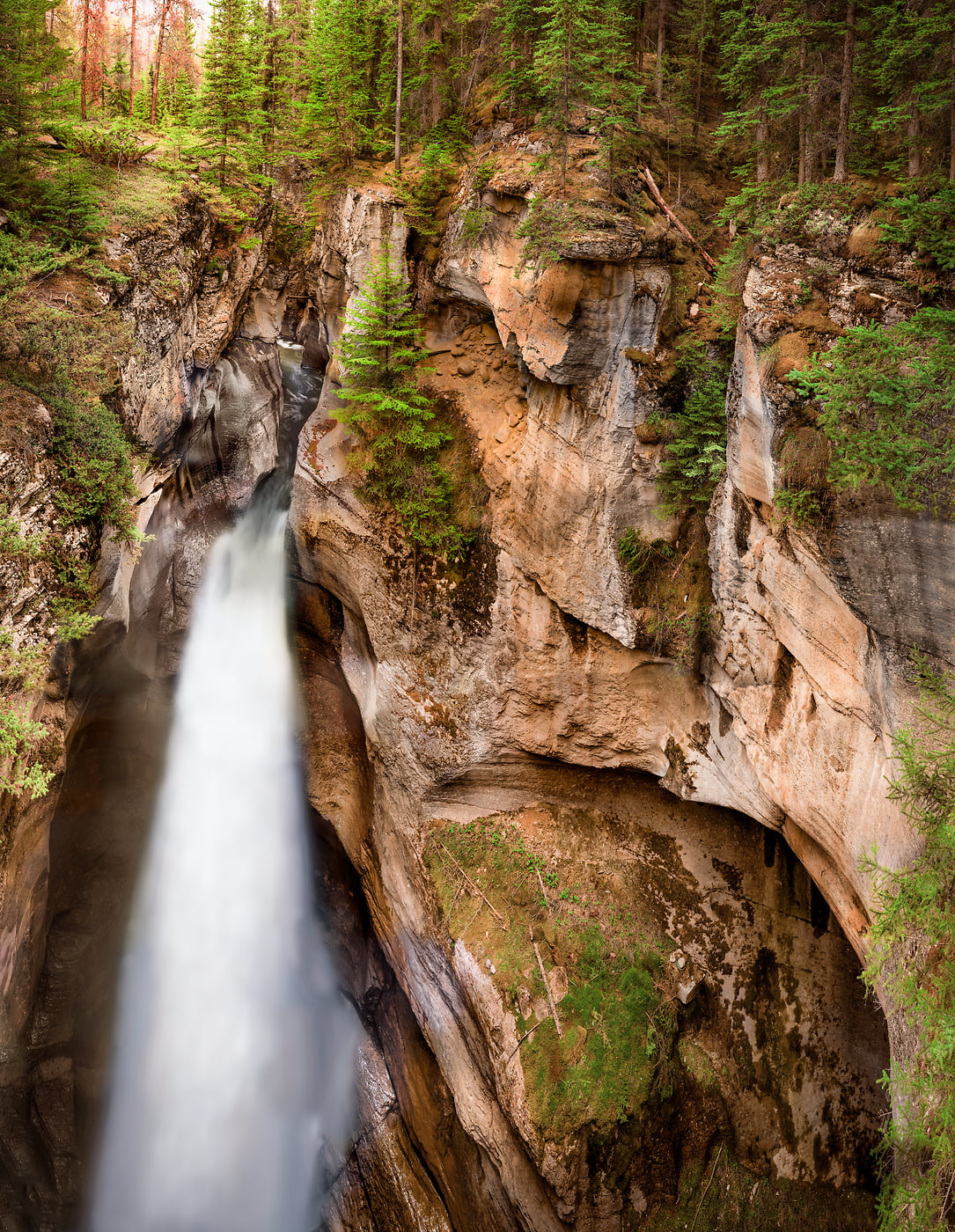 516 megapixels! A very high resolution, large-format VAST photo print of a canyon with a waterfall; landscape nature photograph created by Steve Webster in Maligne Canyon, Jasper National Park, Alberta Canada.