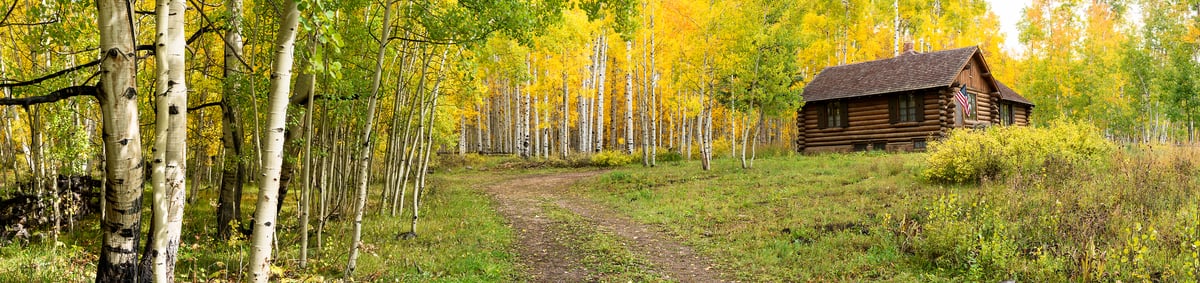 223 megapixels! A very high resolution, large-format VAST photo print of a cabin in the woods with aspen trees; photograph created by Phillip Noll in Mancos, Colorado.