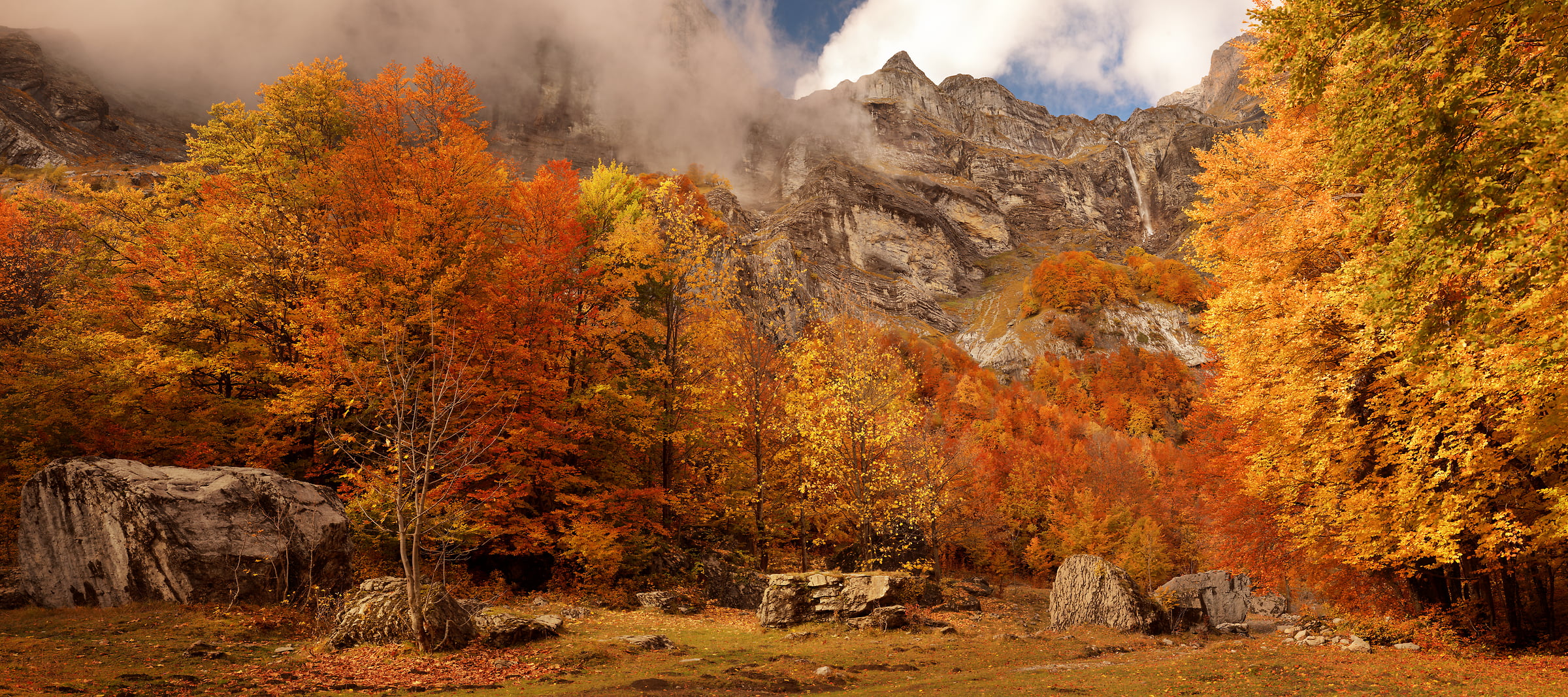 406 megapixels! A very high resolution, large-format VAST photo print of an autumn tree scene; nature photograph created by Alexandre Deschaumes in Sallanches, France.
