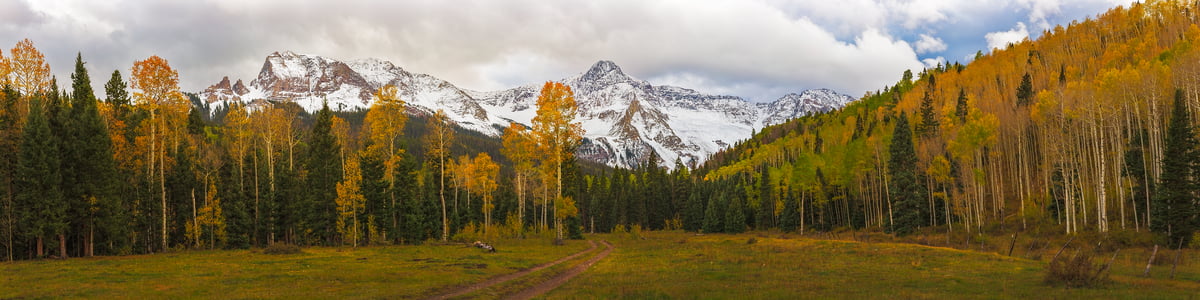 849 megapixels! A very high resolution, wall mural photo of a Colorado landscape; VAST photo created by John Freeman in County Road 9, Ridgway, Colorado.