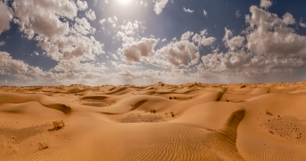 478 megapixels! A very high resolution, large-format VAST photo print of a desert landscape in the Middle East; photograph created by Peter Rodger in Tabuk Dunes, Tabuk, Saudi Arabia.