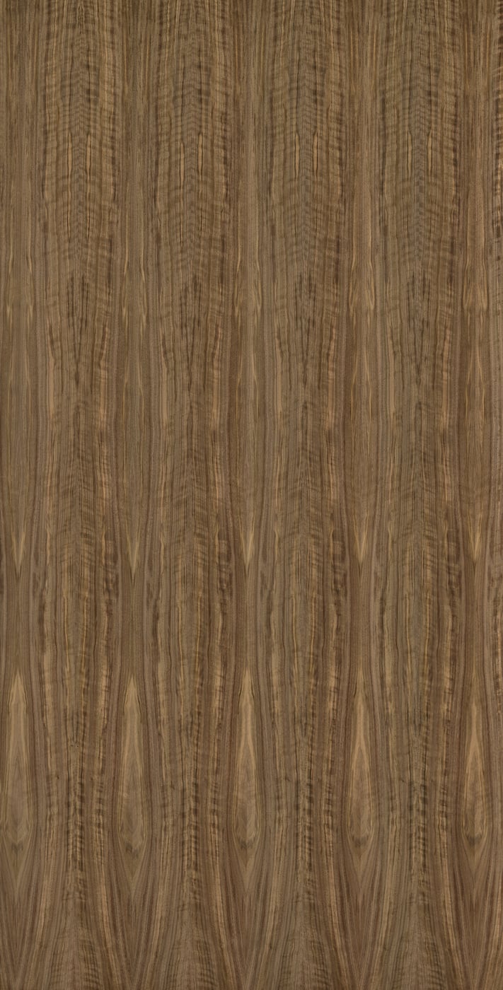 3,485 megapixels! An ultra-high-resolution texture photo file of natural american black walnut wood; gigapixel photograph created by David Lineton.
