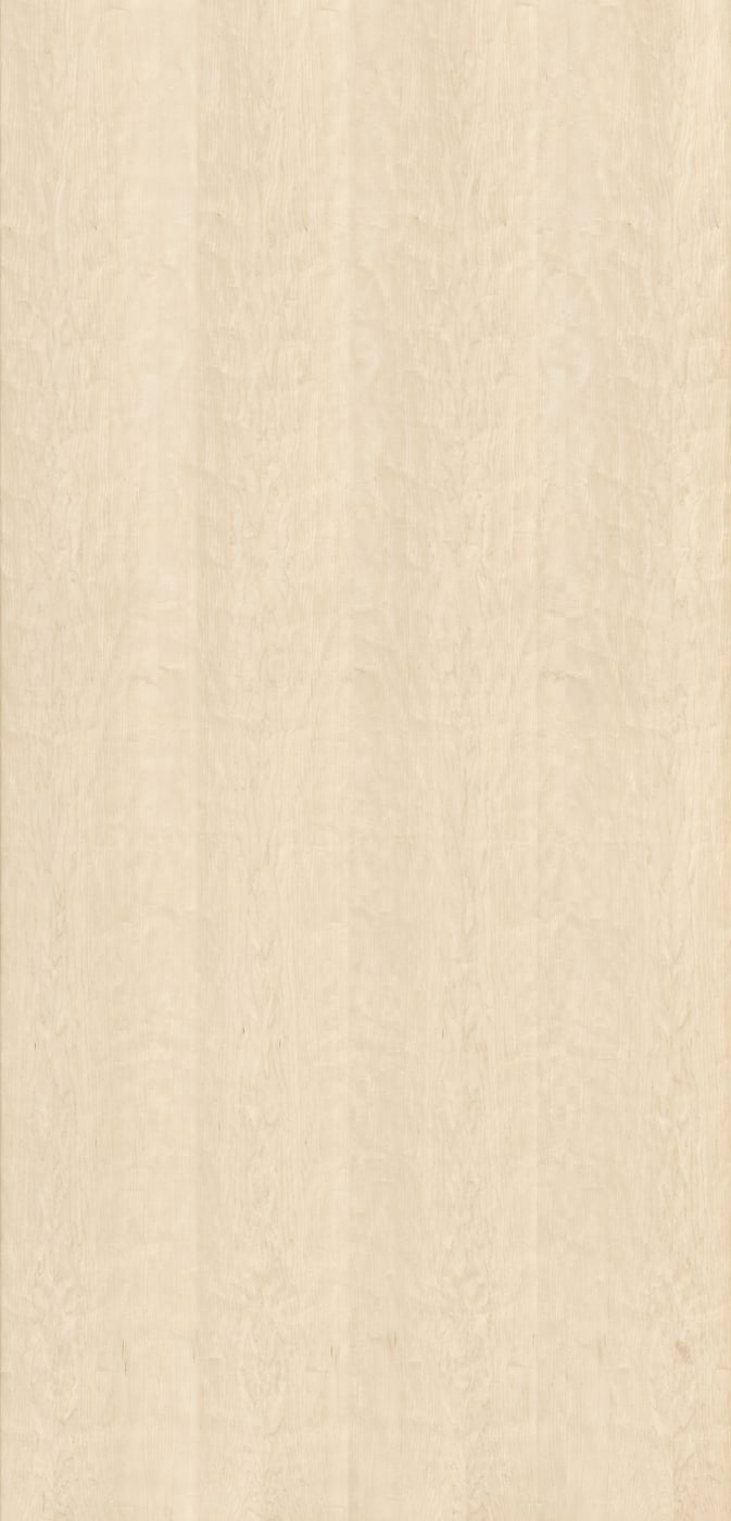 2,388 megapixels! An ultra-high-resolution texture photo file of natural maple wood; gigapixel photograph created by David Lineton.