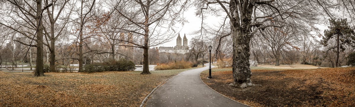 351 megapixels! A very high resolution, large-format VAST photo print of a pathway in Central Park; fine art photograph created by Assaf Frank in New York City.