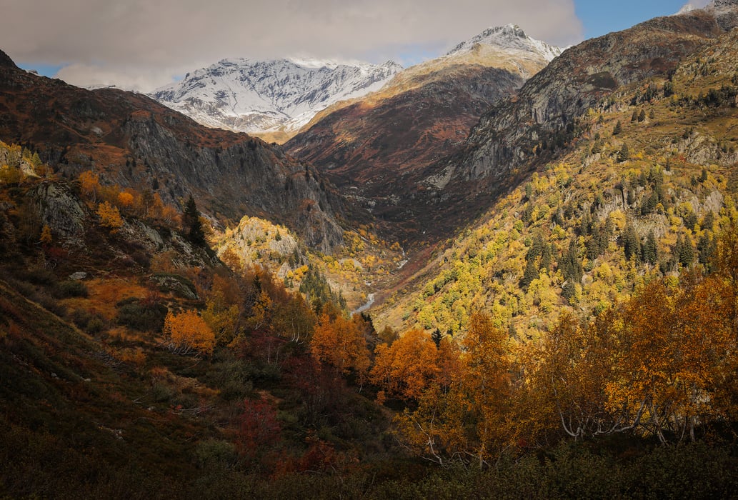 267 megapixels! A very high resolution, large-format VAST photo print of a beautiful valley in fall with colorful trees and mountains; landscape photograph created by Alexandre Deschaumes.