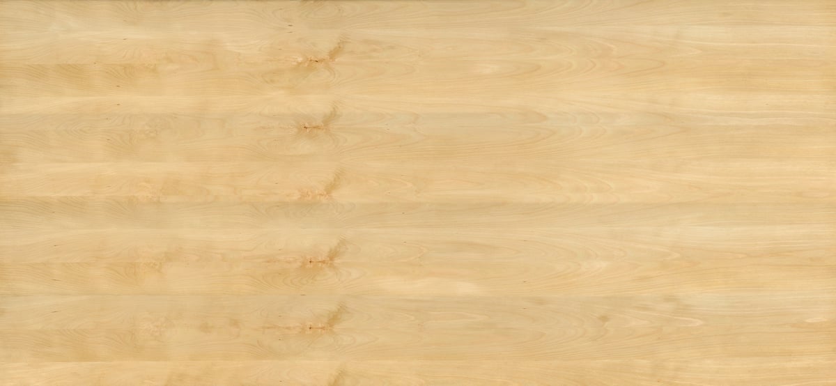 3,205 megapixels! A very high resolution texture photo of beech wood veneer; gigapixel image available to be licensed and downloaded as a digital file from VAST; photograph created by David Lineton.
