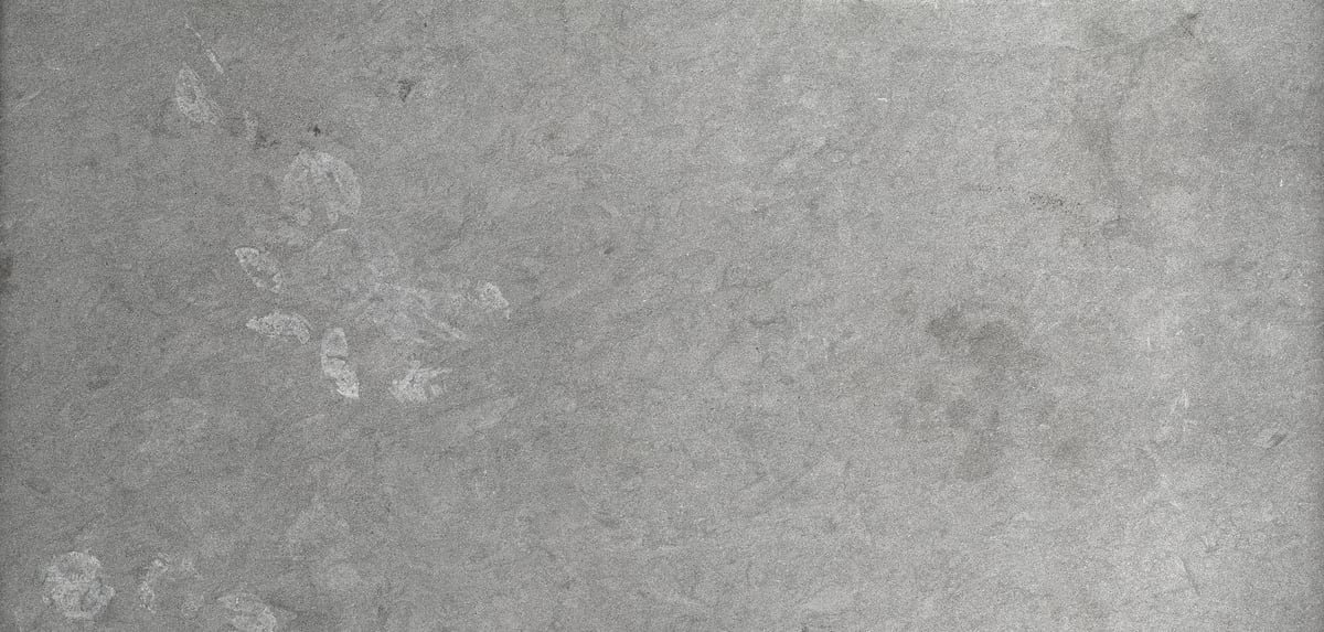 1,842 megapixels! A very high resolution texture photo of grey limestone; gigapixel image available to be licensed and downloaded as a digital file from VAST; photograph created by David Lineton.