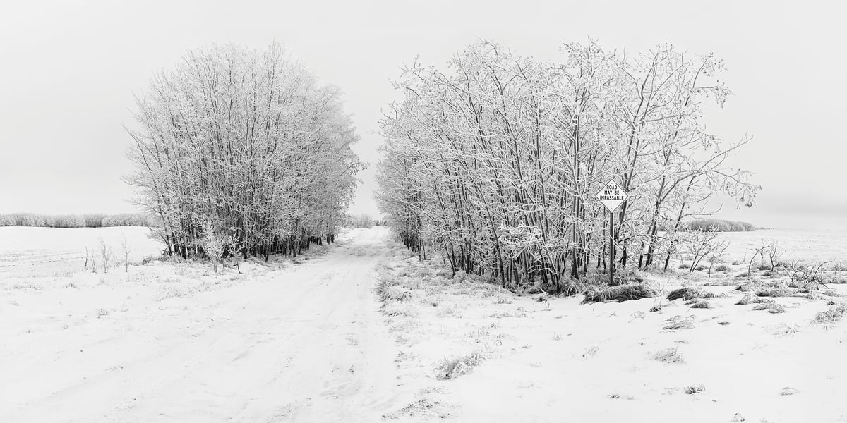 421 megapixels! A very high resolution, large-format, black & white fine art photograph of a road going through a grove of a snow-covered trees in the middle of a snowy field; photograph created by Scott Dimond in Wheatland County, Alberta, Canada.