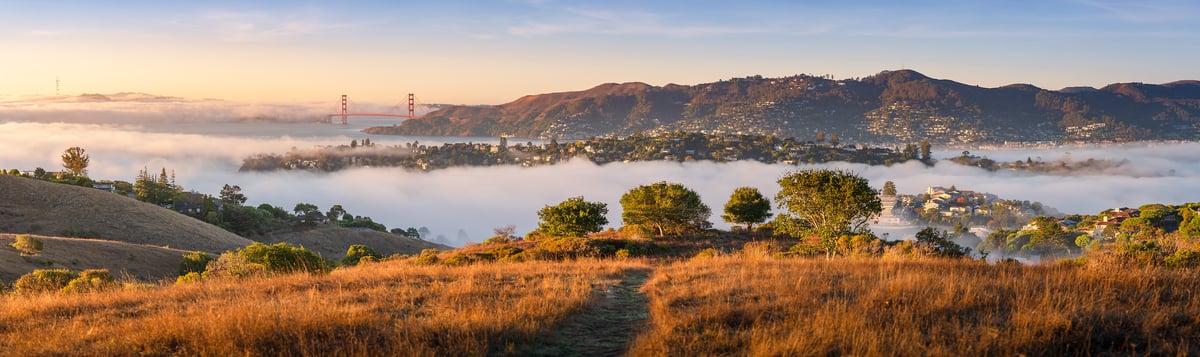 275 megapixels! A very high resolution, landscape panorama photo print of Marin County, California at sunrise with a grassy hill, the San Francisco Bay, the Golden Gate Bridge, beautiful homes, and fog; photograph created by Jeff Lewis.