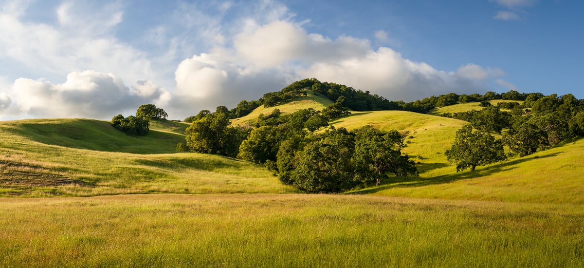 167 megapixels! A very high resolution, large-format VAST photo print of spring in the California hills with a beautiful idyllic landscape scene of hills, trees, and a blue sky with pleasant white clouds; landscape photograph created by Jeff Lewis in Marin County, California.