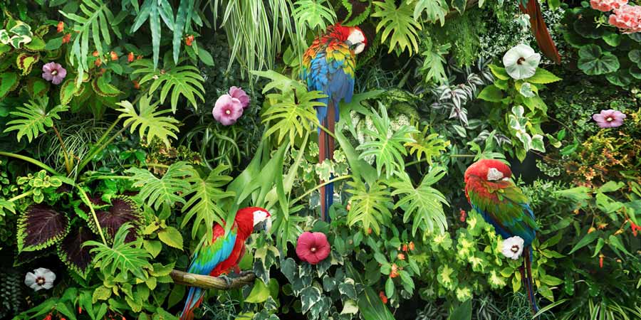 An example ultra-high-resolution nature photo from VAST.